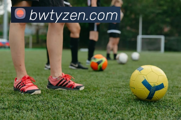 宝威体育APP 封面图